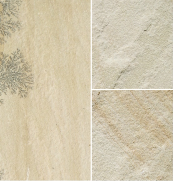 Mente fossil